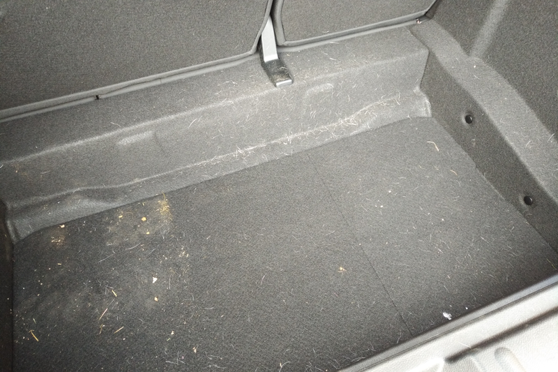The dreaded short dog hair that weaves into the carpets and upholstery, evil stuff